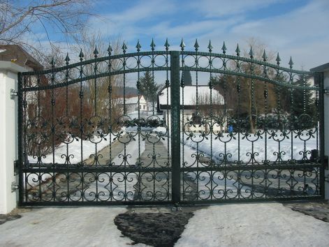 67.jpg